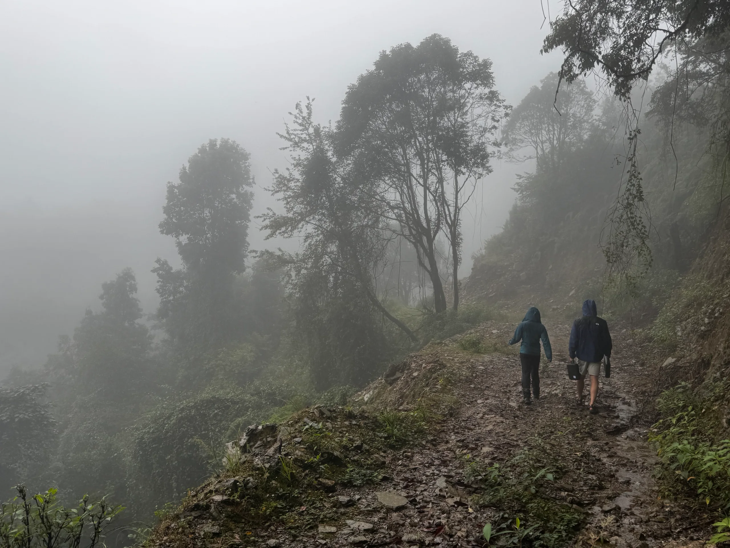 Two geologists walking a wet hillside track through heavy fog, one carrying a sample case